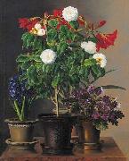 Camelias, amaryllis, hyacinth and violets in ornamental pots on a marble ledge Johan Laurentz Jensen